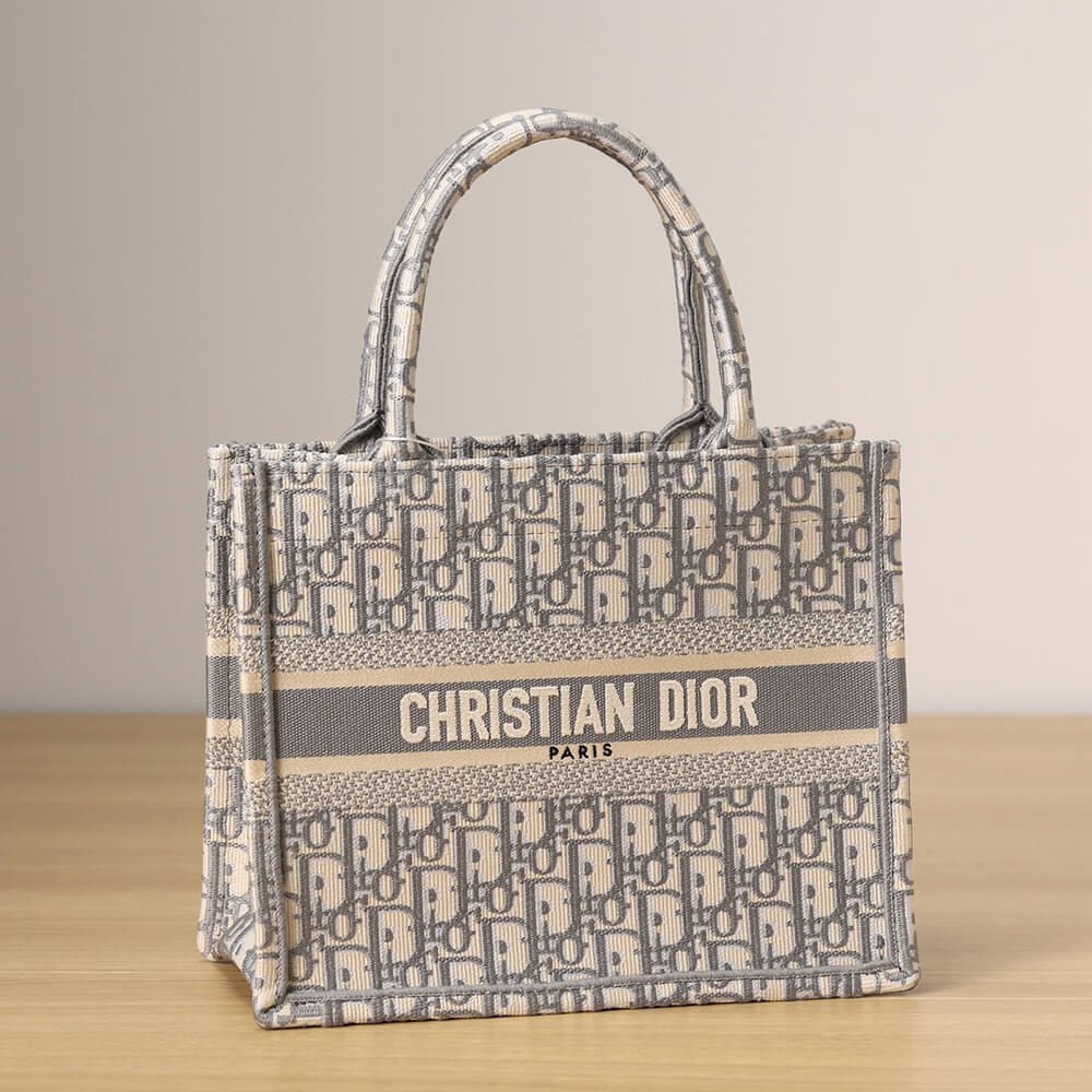 SMALL DIOR BOOK TOTE