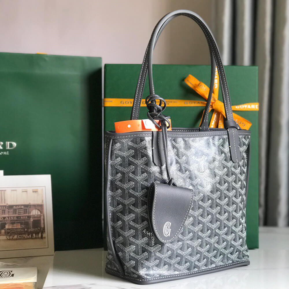 Goyard Anjou Mini Bag