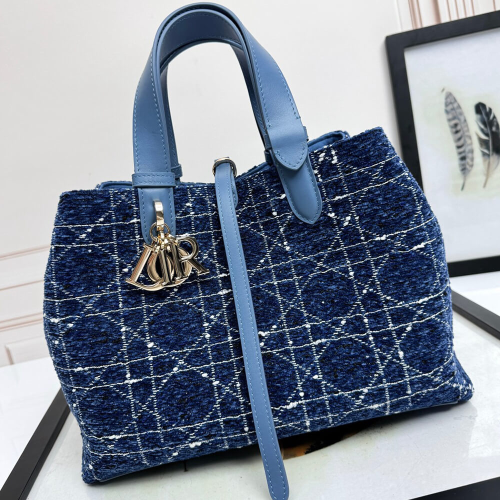 Medium Dior Toujours Bag