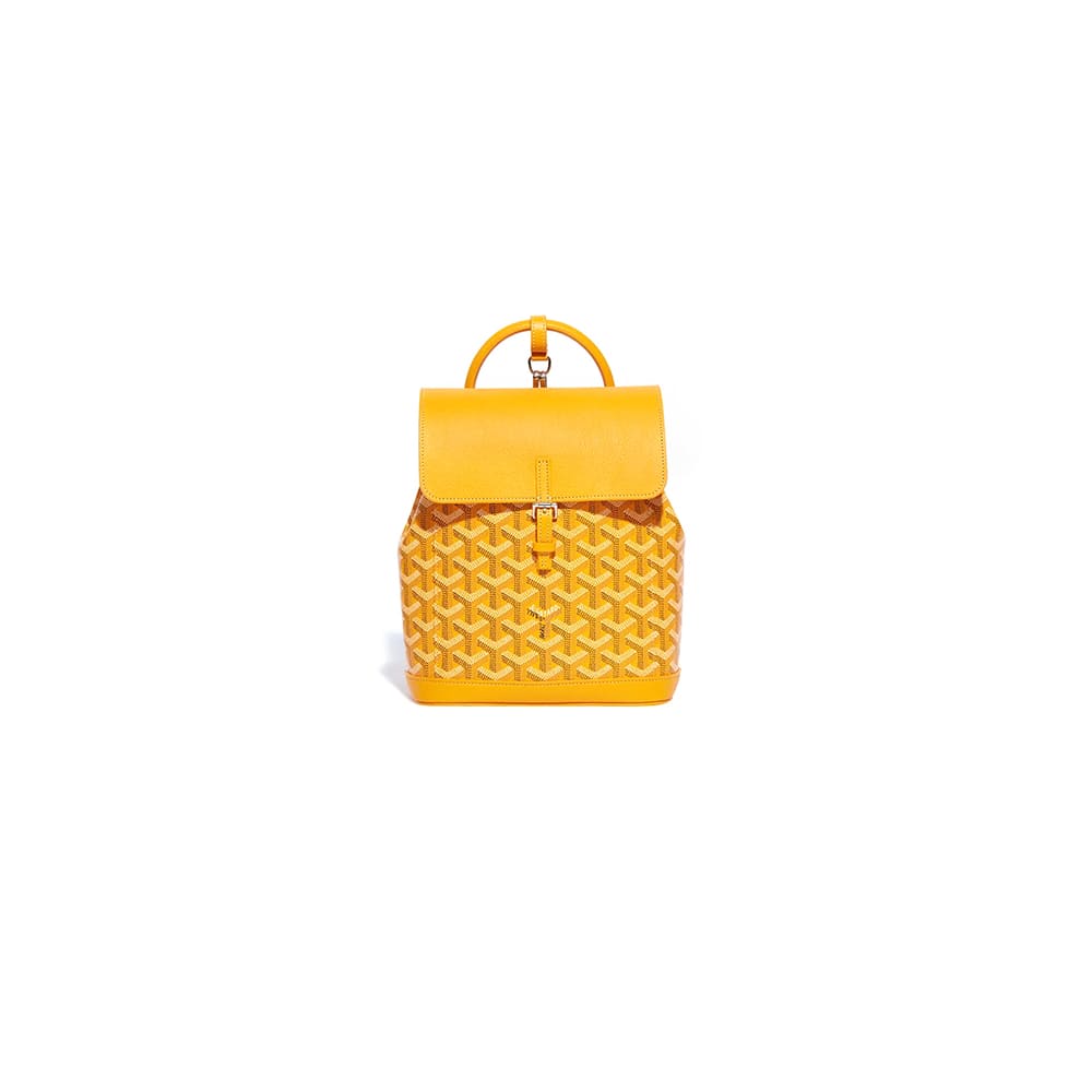 Goyard Alpin Mini Backpack