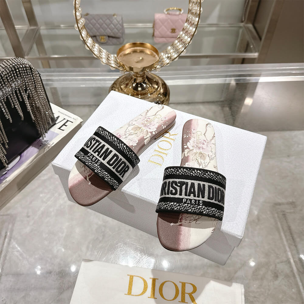 DIOR Dway Slide