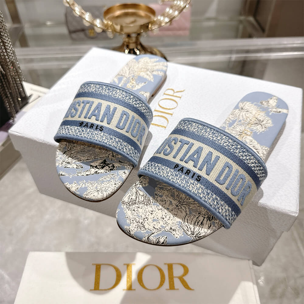 DIOR Dway Slide