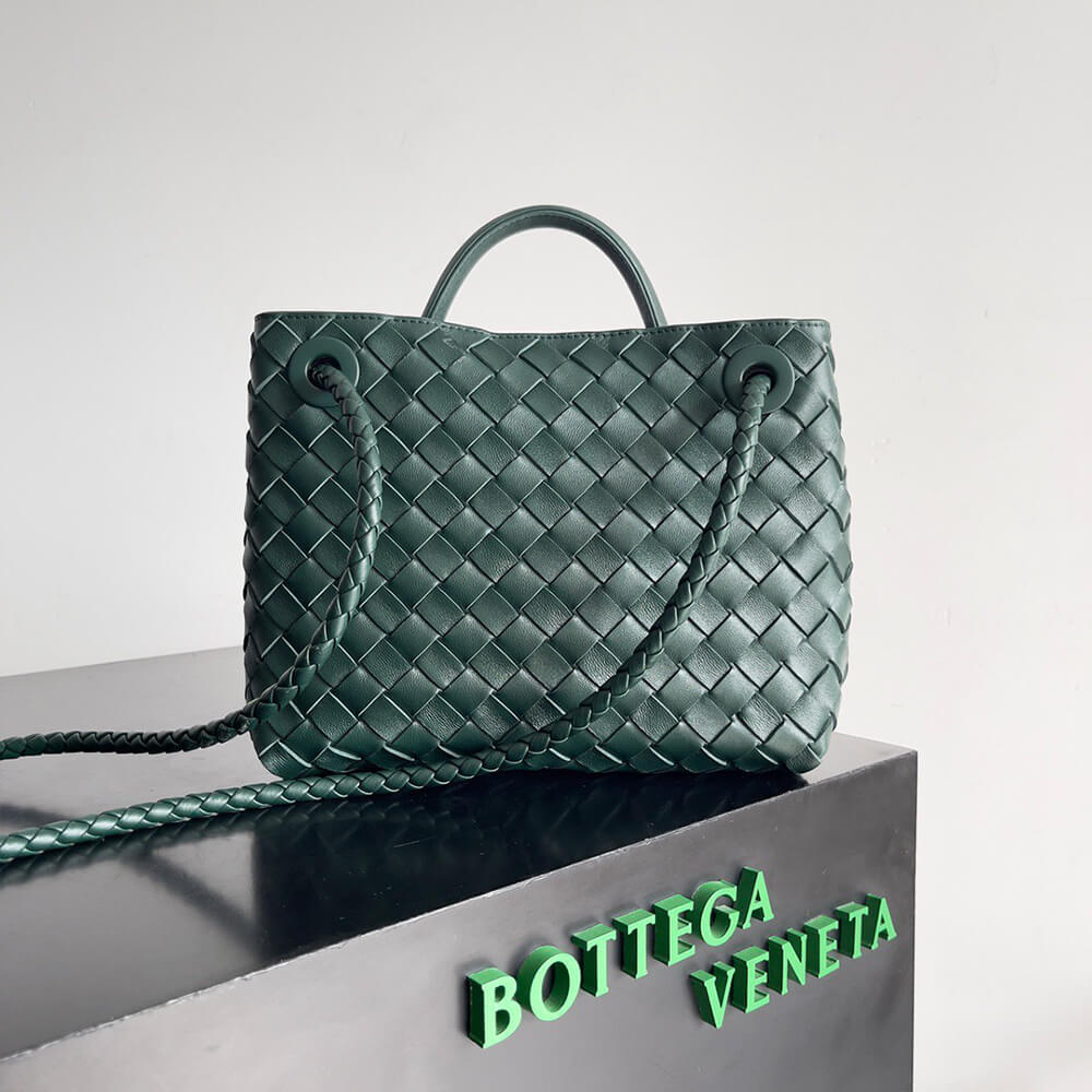 Bottega Veneta Small Andiamo
