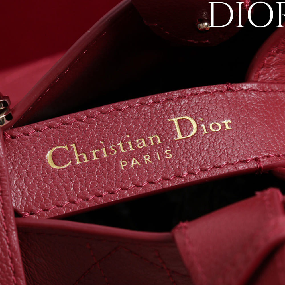 Medium Dior Toujours Bag
